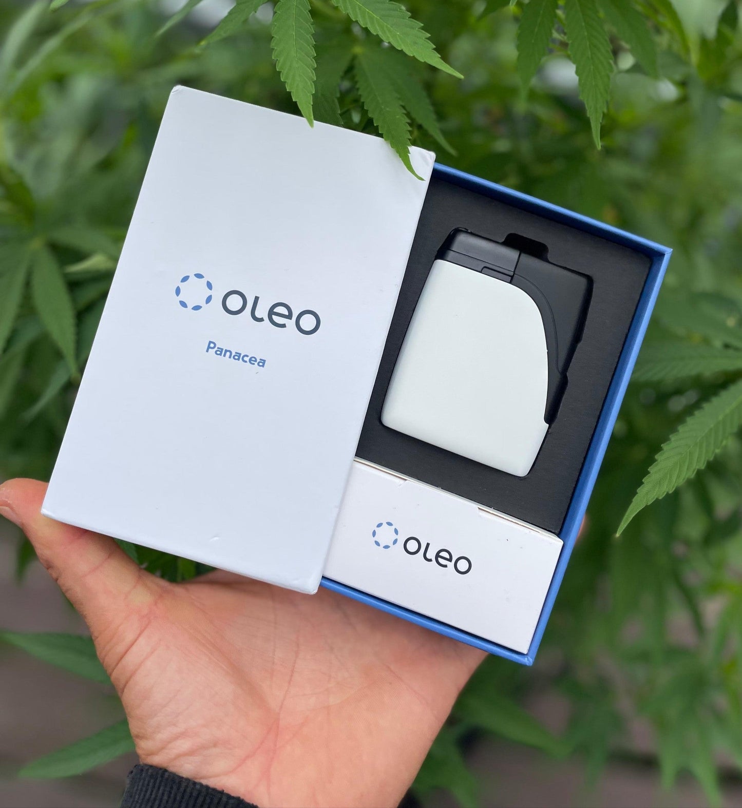 Oleo Panacea Dry Herb Vaporiser Inhaler